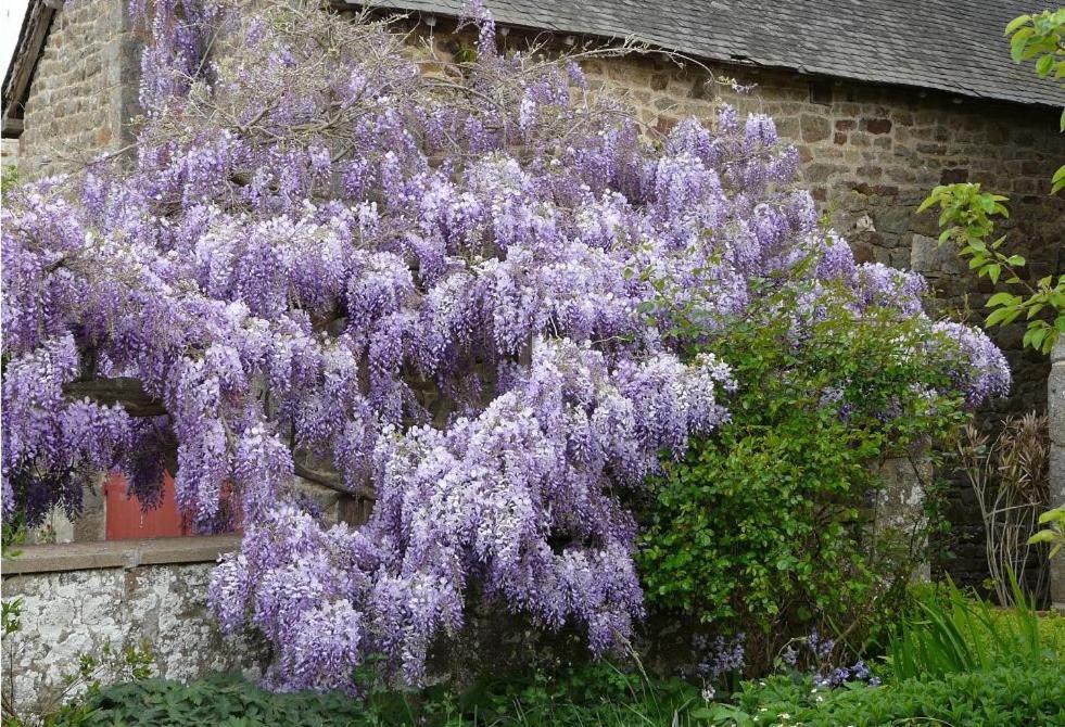 Le Clos des Anges Dingé Extérieur photo